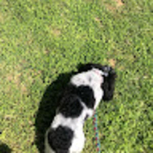 Meet your Posher, Tes